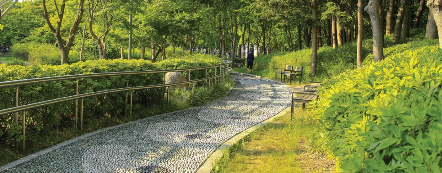 Krisala 41 Zillenia Punawale Walking Area Image